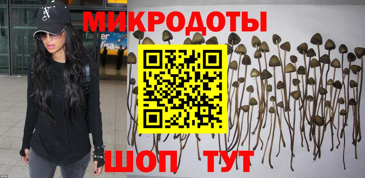 Галлюциногенные грибы прущие грибы  Галлюциногенные грибы ЛСД  Чистополь  продажа наркотиков  Вход с VPN 
