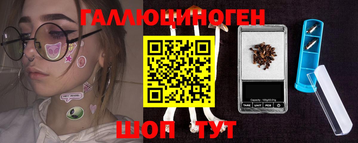 Галлюциногенные грибы Psilocybine cubensis Чистополь